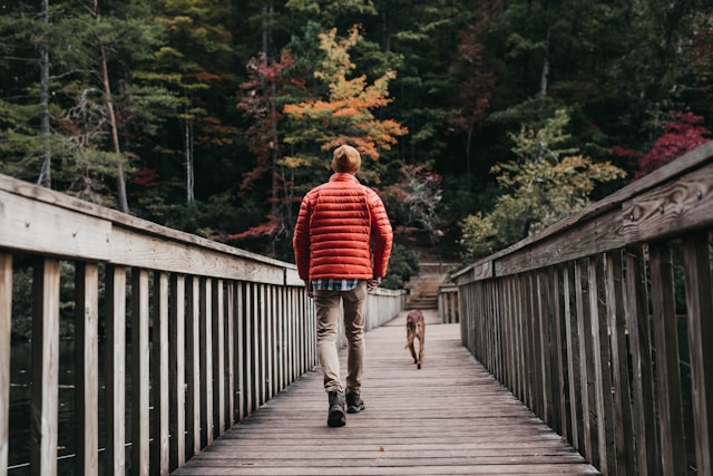 Foto eines Mannes mit seinem Hund von hinten. Man sieht, wie er über eine Holzbrücke geht in den Wald hinein.